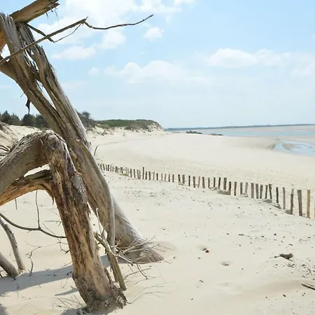 Romantique Vue Face *